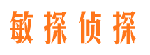 洪泽市侦探调查公司